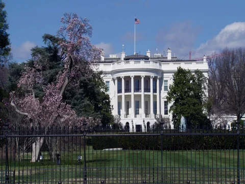 The White House Early Spring with Young Couple Tourist 20170302 ProRes HQ Vidéo 83276448