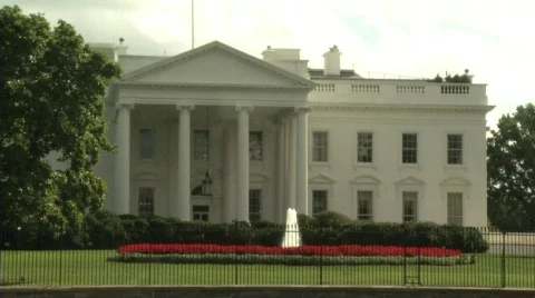 White house Vidéo 537212