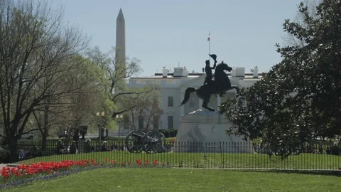 White House Stock Footage 85816116