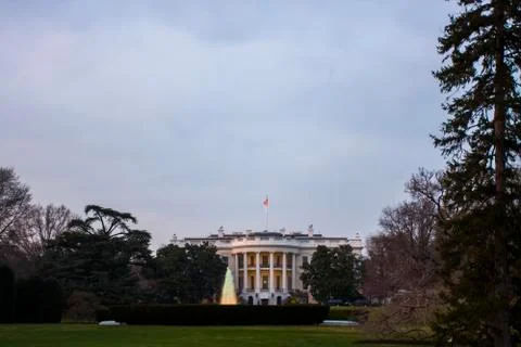 The White House Stock Photos