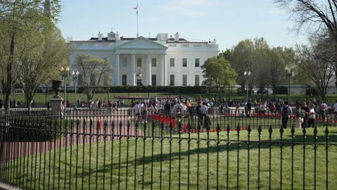 White House Spring 1 8K Video stock 237707714