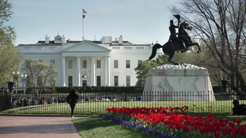 White House Spring 2 8K Stock Footage 237707720