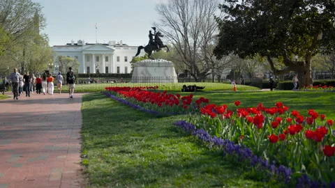 White House Spring 4 8K Stock Footage 237710293