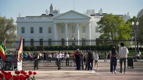 White House Spring 6 8K Vidéo 237712485