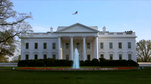 White House in the spring Stock Footage 243482556