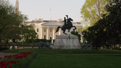 White House in the Spring Washington DC Vídeos de archivo 243408739