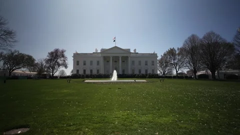 White House Surrounded by Blooming Trees During Spring in Washington, DC Stock Footage 305522101
