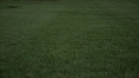 White House Tilt Up Stock Footage 78118513