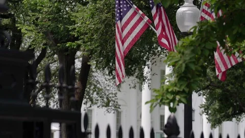 White House Washington DC American Flags View from Treasury Stock Footage 113346331