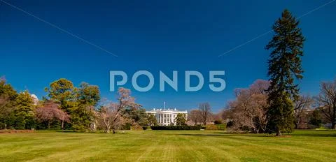 The white house in washington dc with beautiful blue sky Stock Photos