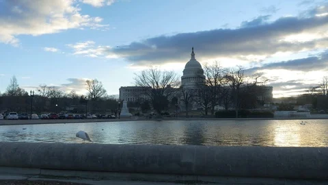White House - Washington DC Stock Footage 121997705