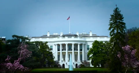 The White House, Washington DC medium tight early spring 4K 60fps Vidéo 66490334