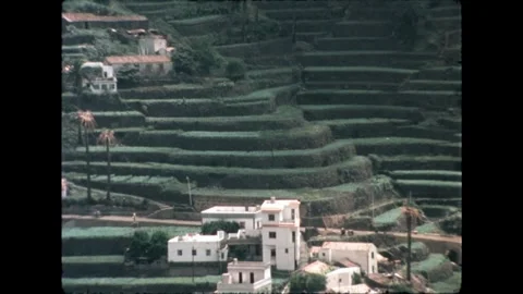White Houses in Terraced Fields Stock Footage 278167429