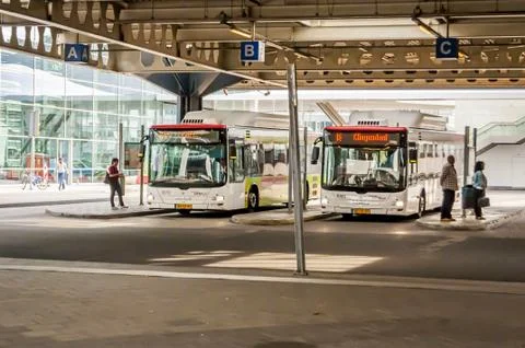 White HTM Buzz Man passenger buses at the Hague Central Station. Foto stock