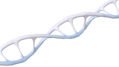 White human dna structure helix, deoxyribonucleic acid, nucleic acid molecu.. Stock Illustration