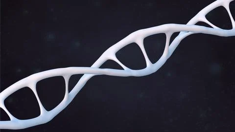 White human dna structure helix, deoxyribonucleic acid, nucleic acid molecu.. Stock Illustration