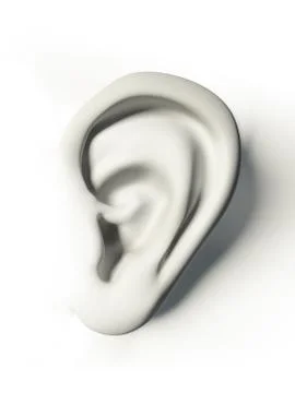 White human ear Stock Illustration