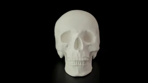 White human skull on black background representing themes of death, mortality Stock Footage 292651938