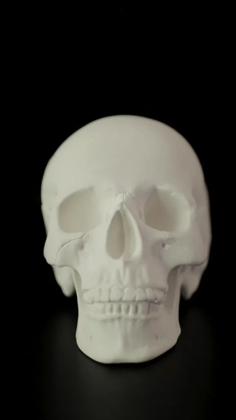 White human skull on black background representing themes of death, mortality Stock Footage 293786405