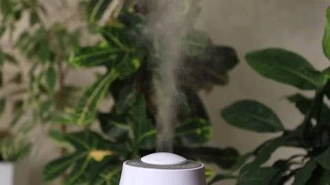White humidifier generating a jet of steam for increasing air moisture Stock Footage 303359289