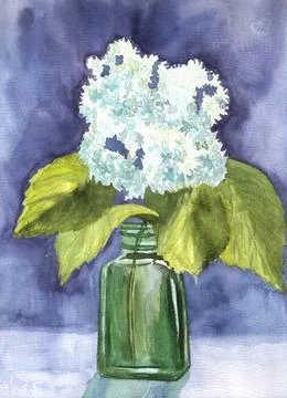 White Hydrangea arborescens branch with leaves in green bottle on blue Ilustração Stock
