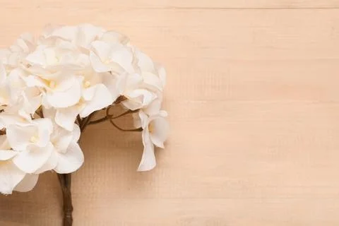 White hydrangea flower bouquet on light wooden background with copy space for Stock Photos