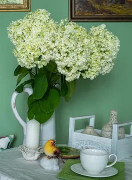 White hydrangea flowers in a jug on the table Stock Photos