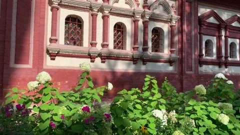White hydrangea in the wind against the windows of the old historical building Stock Footage 138141777