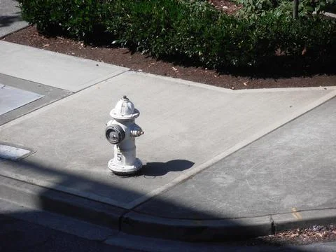 White hydrant on the sidewalk Foto stock