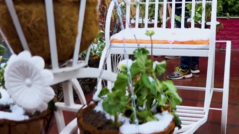 White ice fallen on the rocks with trees beside them 스톡 동영상 148254334