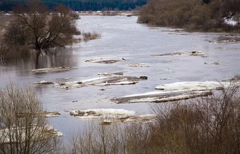 White ice floes float down the river slowly. Spring, snow melts Foto stock