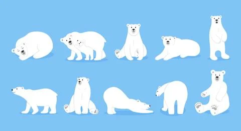White ice polar bear set, cute animal friends in different poses. Nature arct Stock Illustration