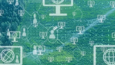 White icons starting from faint node, replicating, connecting across meadow Stock Footage 334242407