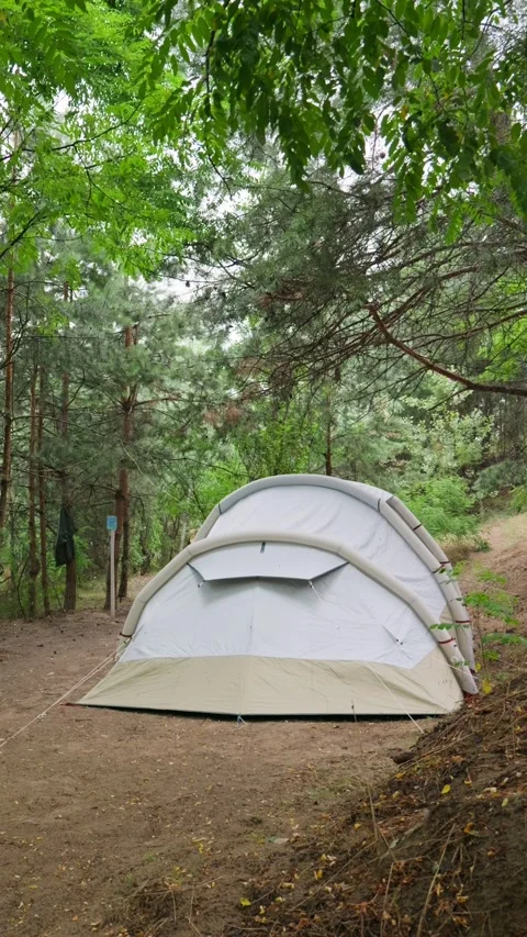 White Inflatable Camping Tent Standing in Lush Green Forest Glade Stock Footage 341991880
