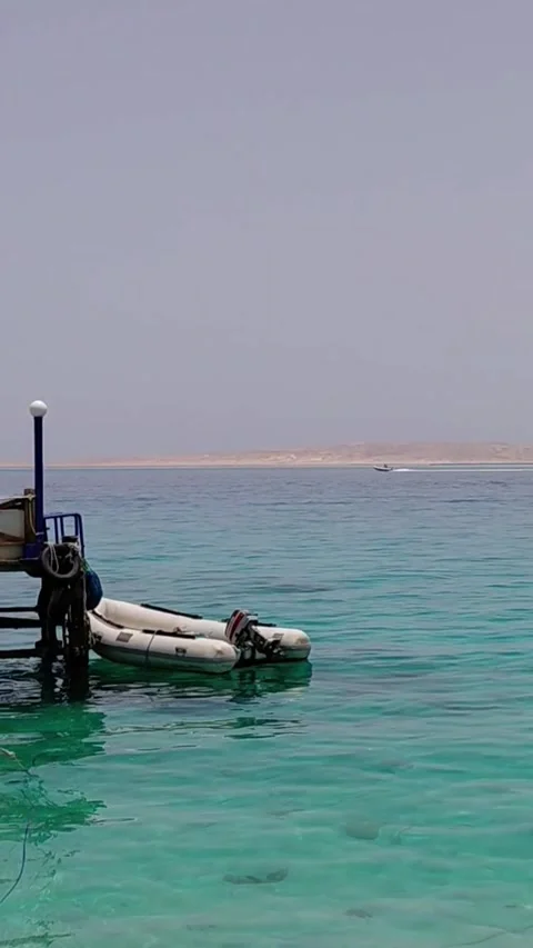 A white inflatable dinghy boat Stock Footage 336298572