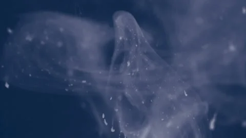 White ink and particles slowly floating like Stock Footage 100535188