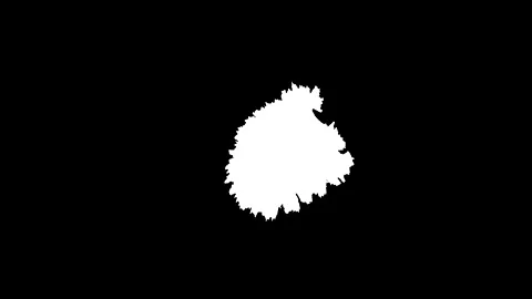 White Ink Drop and Spread like a Tree Stock Footage 172427985