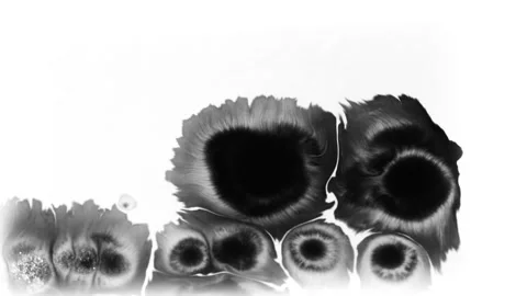 White ink flowing on black background black ink splatter background Stock Footage 316131404