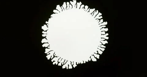 White ink Lichtenberg figure pattern paint drop stain on black bg paint splatter Stock Footage 166072142