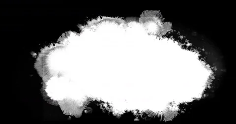 White ink splattering flowing and washing on black background, ink splatter Vidéo 79695380