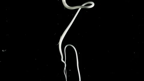 White ink threads floating down slowly on black background Stock-Footage 90612358