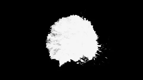 White inks drops Vidéo 328663851