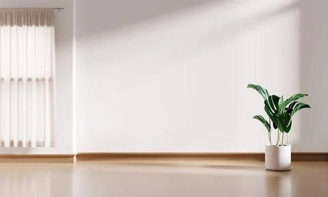 White interior empty room background with window and monstera plant pot on .. Stock Illustration