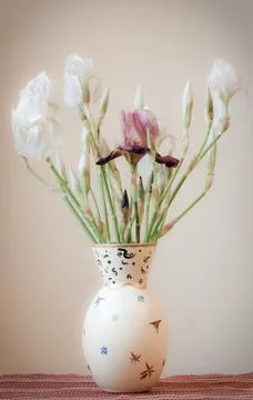 White iris flowers Stock Photos