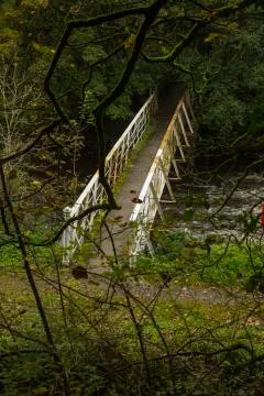 White iron bridge Stock Photos