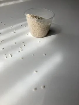 White Italian rice - il riso, on white background and shadow Stock Photos