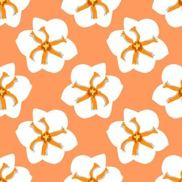 White jasmine flowers repeat pattern Stock Illustration