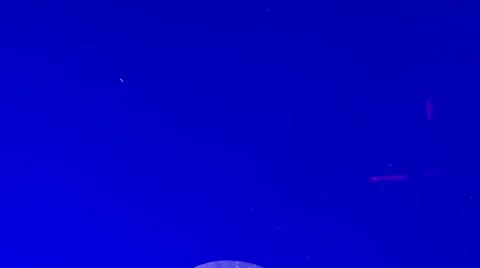 White jellyfish swimming Stock Footage 62641838