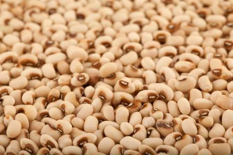 White kidney bean Stock Photos