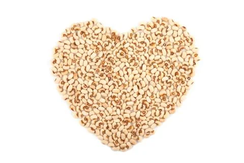 White kidney bean Stock Photos